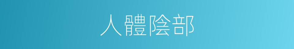 人體陰部的同義詞
