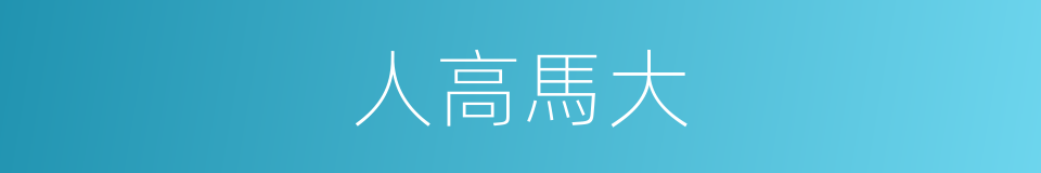 人高馬大的意思