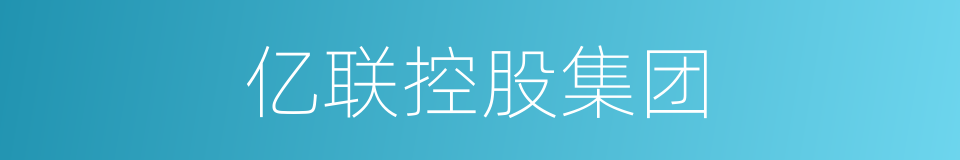 亿联控股集团的同义词
