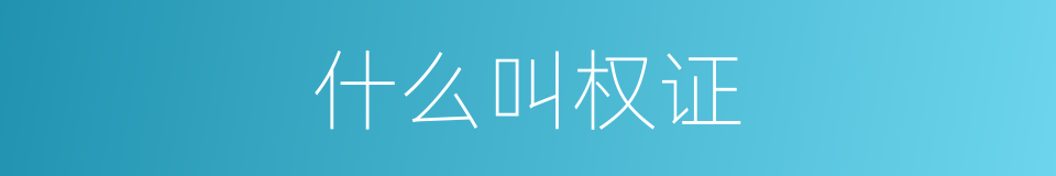 什么叫权证的意思
