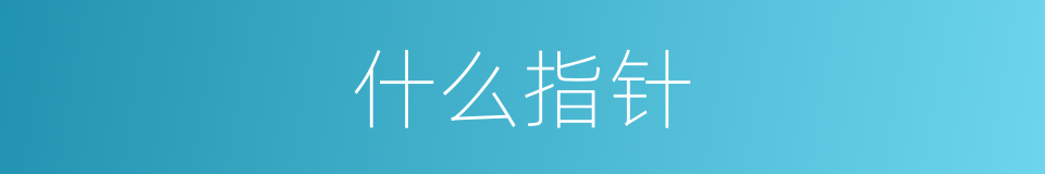 什么指针的意思