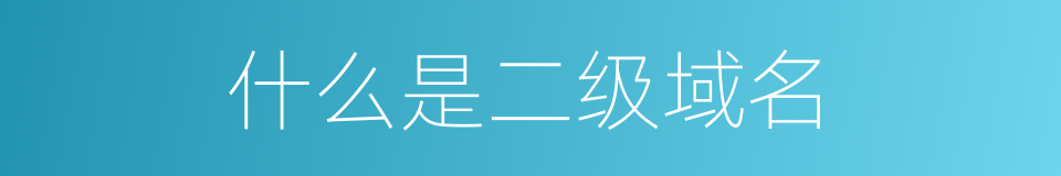 什么是二级域名的同义词