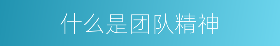 什么是团队精神的意思
