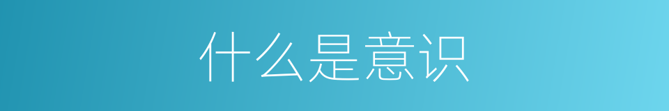 什么是意识的同义词