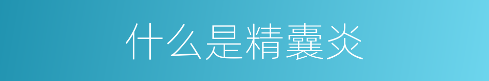 什么是精囊炎的同义词