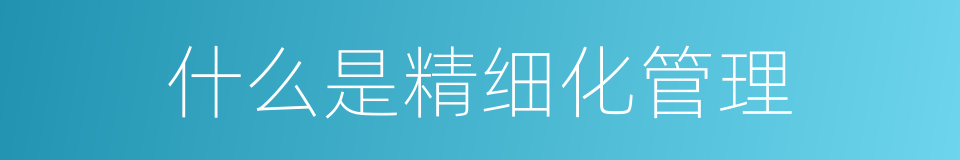 什么是精细化管理的同义词