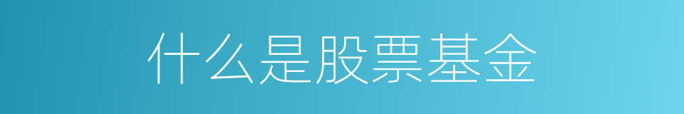 什么是股票基金的同义词
