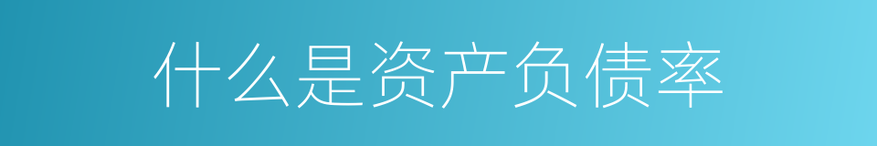 什么是资产负债率的同义词