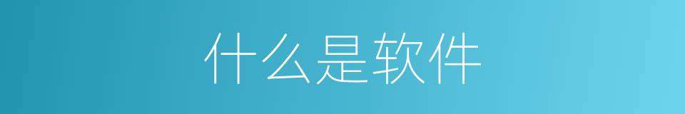 什么是软件的同义词