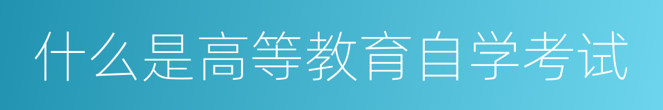 什么是高等教育自学考试的同义词