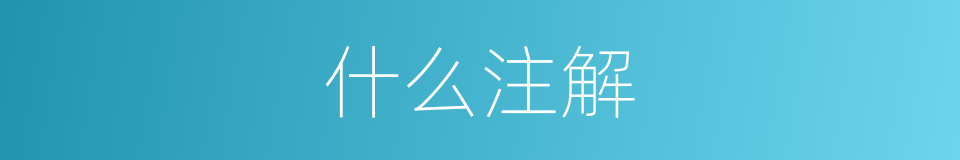 什么注解的同义词