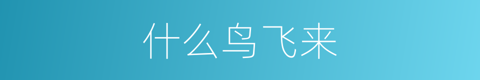 什么鸟飞来的同义词