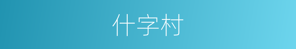 什字村的同义词