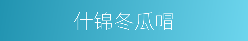 什锦冬瓜帽的同义词