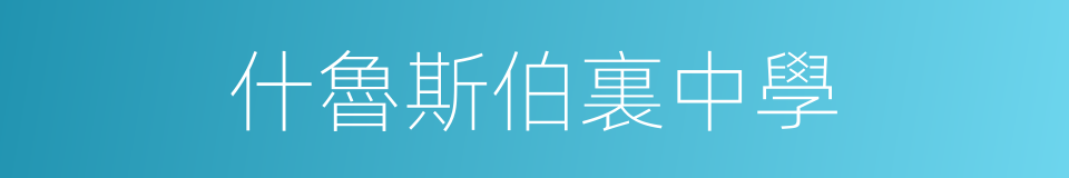 什魯斯伯裏中學的同義詞
