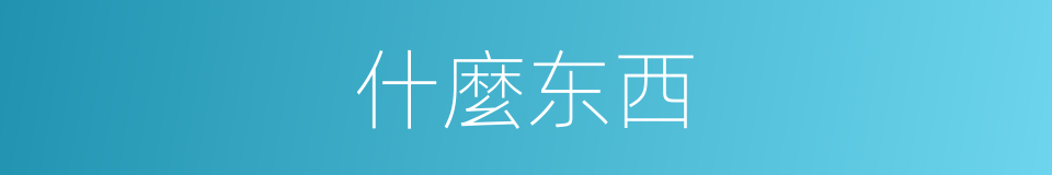 什麼东西的同義詞