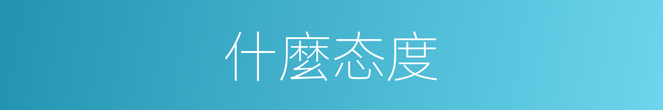 什麼态度的同義詞