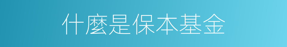 什麼是保本基金的同義詞