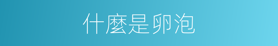 什麼是卵泡的意思