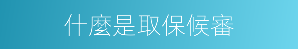 什麼是取保候審的同義詞