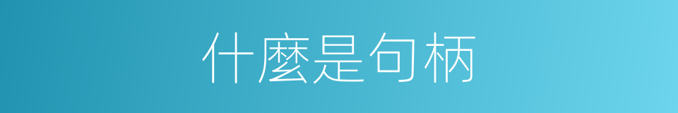 什麼是句柄的同義詞