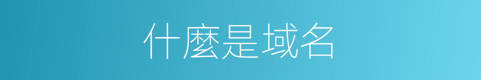 什麼是域名的意思