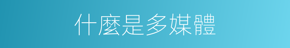 什麼是多媒體的意思