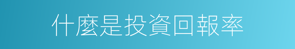 什麼是投資回報率的同義詞