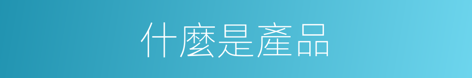 什麼是產品的意思