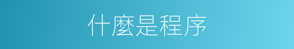 什麼是程序的意思