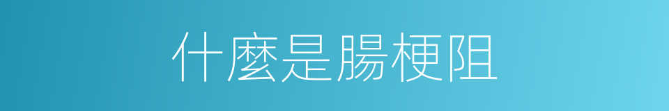 什麼是腸梗阻的意思