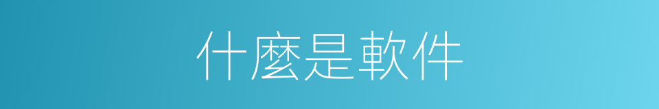 什麼是軟件的意思
