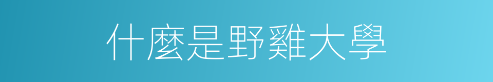 什麼是野雞大學的同義詞
