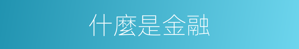 什麼是金融的意思