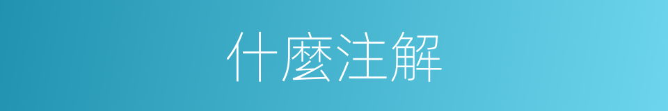 什麼注解的同義詞