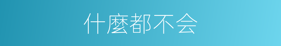 什麼都不会的同義詞