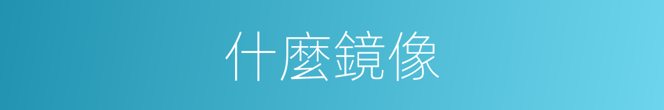 什麼鏡像的意思
