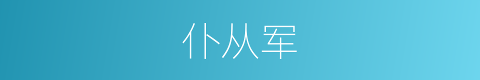 仆从军的意思