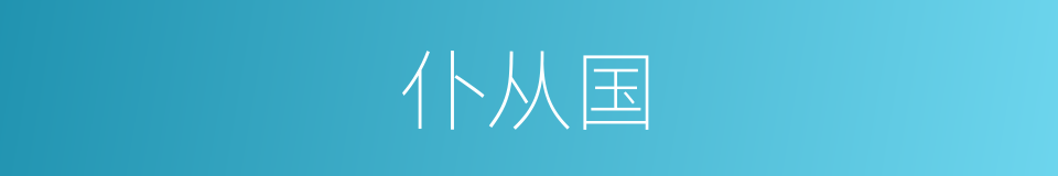 仆从国的同义词