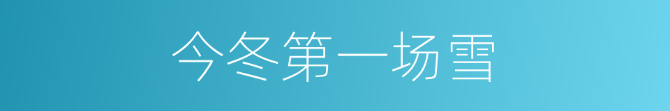 今冬第一场雪的同义词