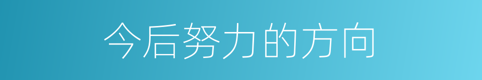今后努力的方向的同义词