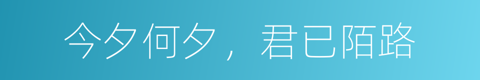 今夕何夕，君已陌路的同义词