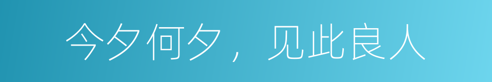 今夕何夕，见此良人的同义词