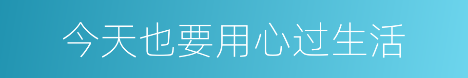 今天也要用心过生活的同义词