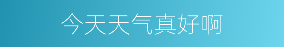 今天天气真好啊的同义词