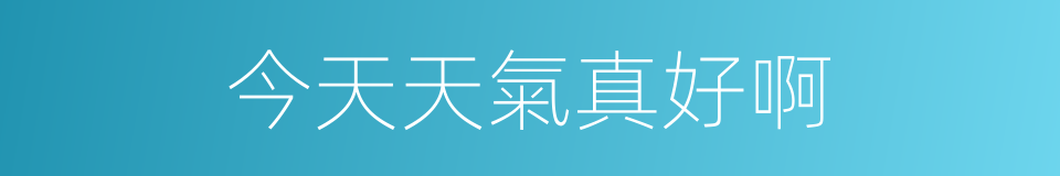 今天天氣真好啊的同義詞