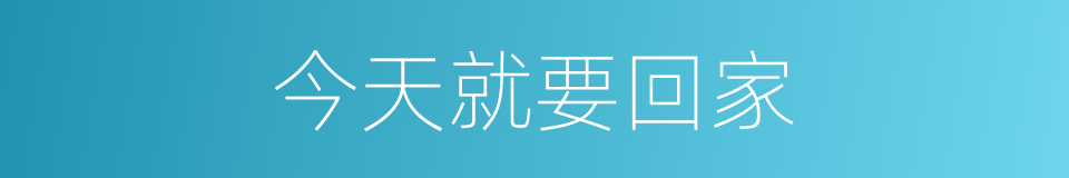 今天就要回家的同义词