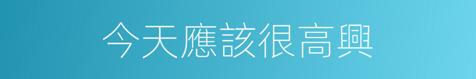 今天應該很高興的同義詞