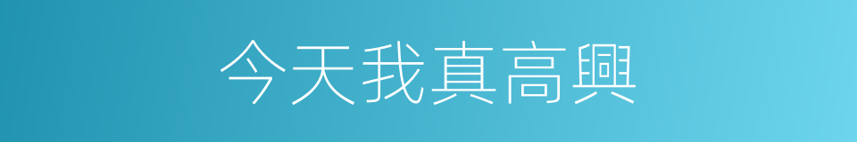 今天我真高興的同義詞