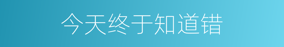 今天终于知道错的同义词